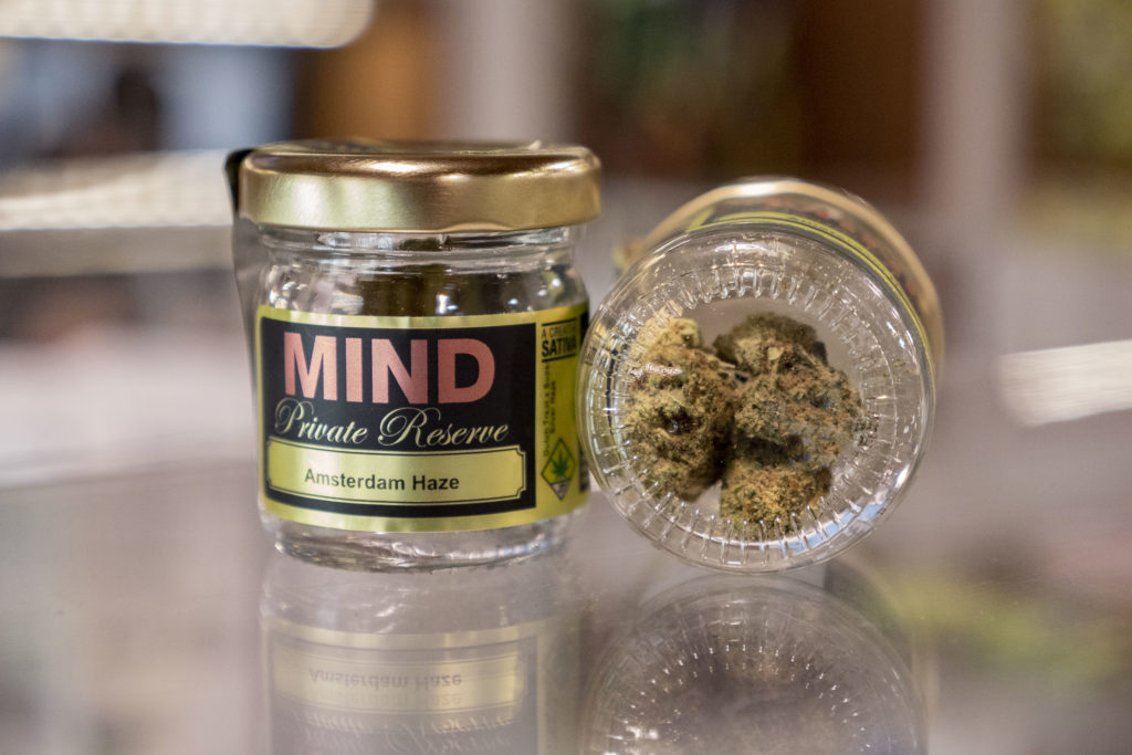 Dawg Star Cannabis Amsterdam Haze Flower in Jar
