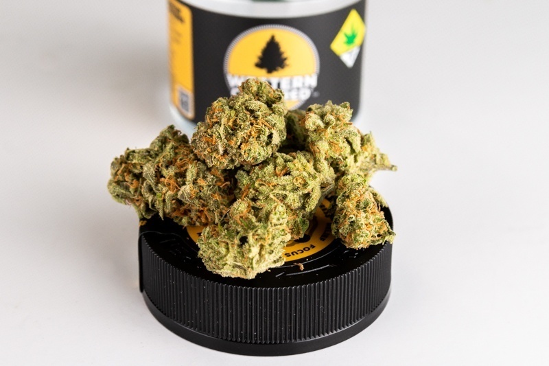 Seatown Lemon Haze Cannabis on Top of Lid