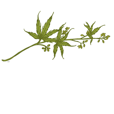 Craft Elixirs Cannabis