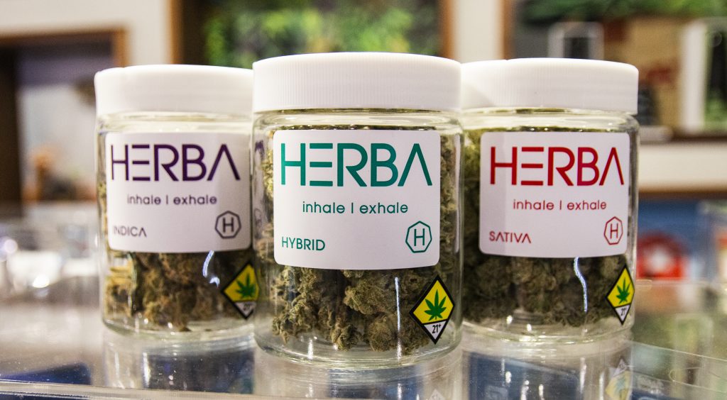 Herba Jars of Cannabis Lined Up