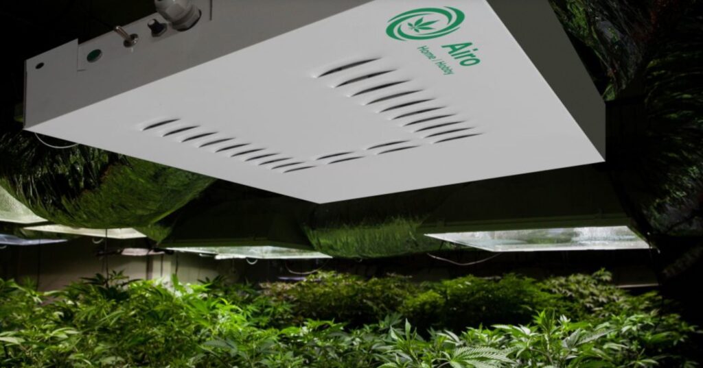 AiroClean 420 Over Cannabis Grow