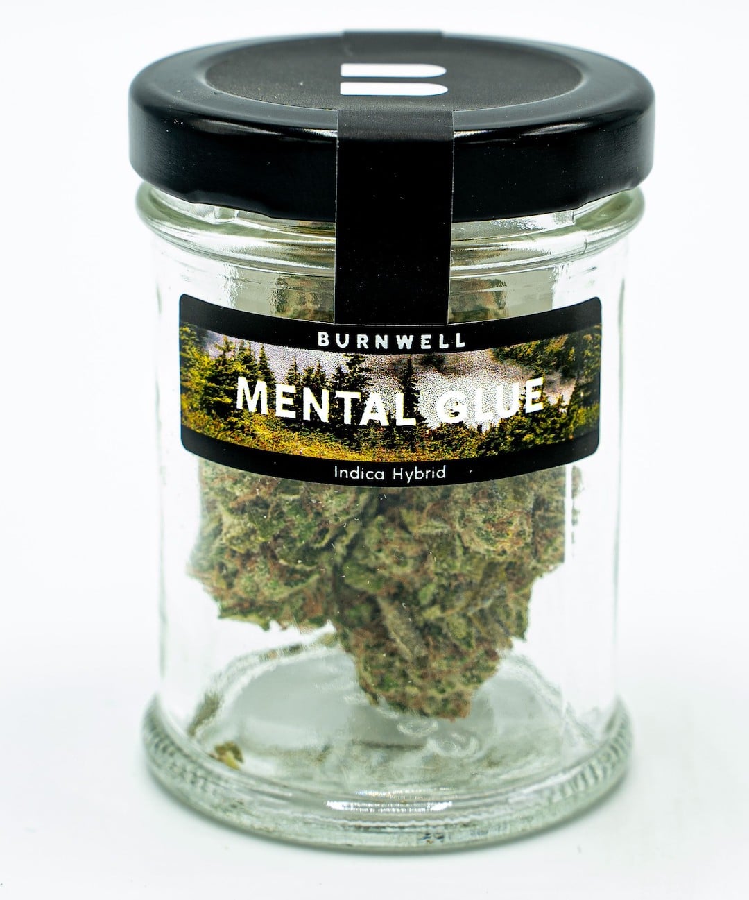 Mental Glue Cannabis Strain from Burnwell