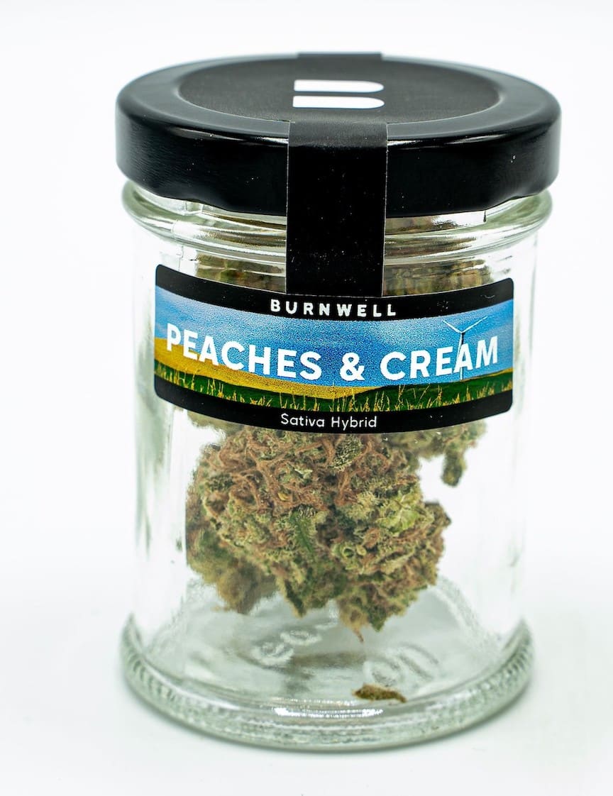 Peaches and Cream Cannabis Strain from Burnwell