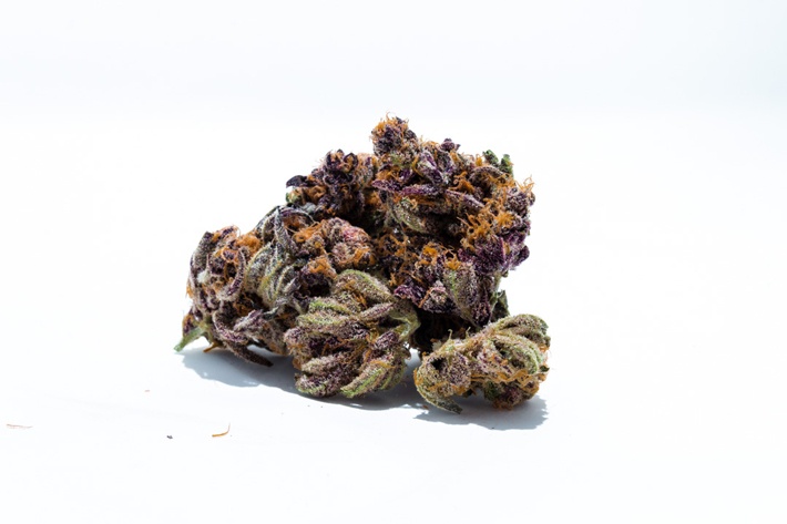 Mimosa by Lilac City Gardens – Budtender Review