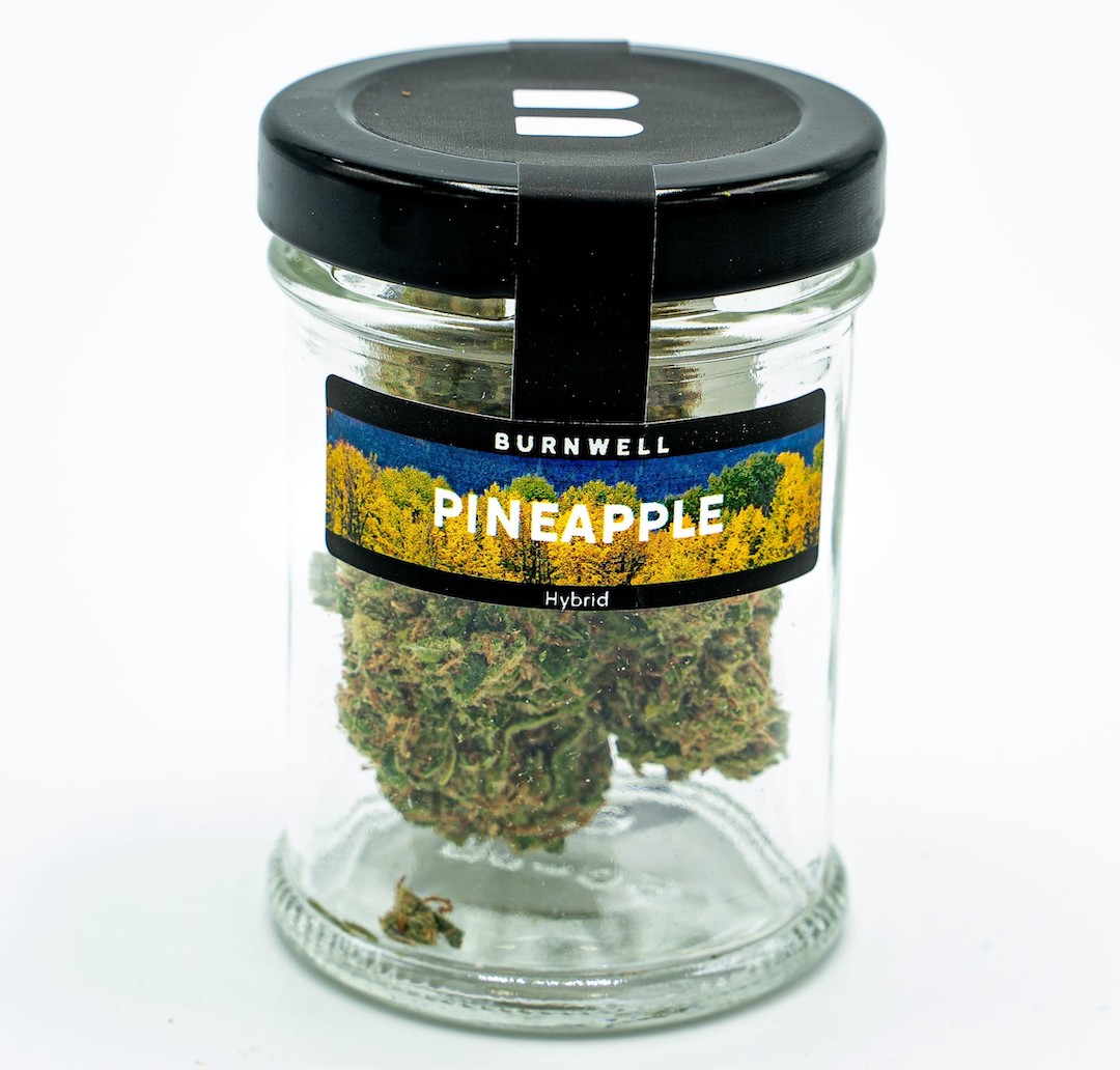 Pineapple Strain Cannabis Strain from Burnwell