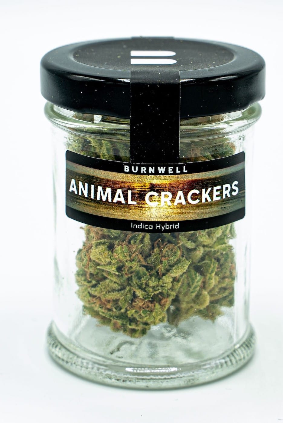 Animal Crackers Cannabis Strain from Burnwell