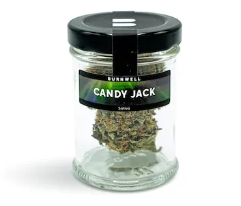 Candy Jack Cannabis Strain from Burnwell