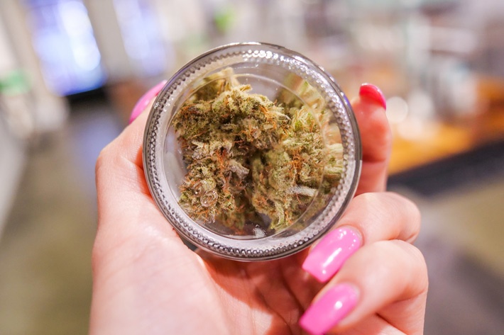 Dolato Cannabis Flower Through the Bottom of a Jar