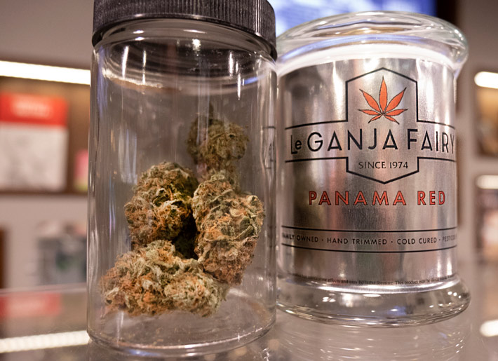 Jars of Leganja Fairy Cannabis