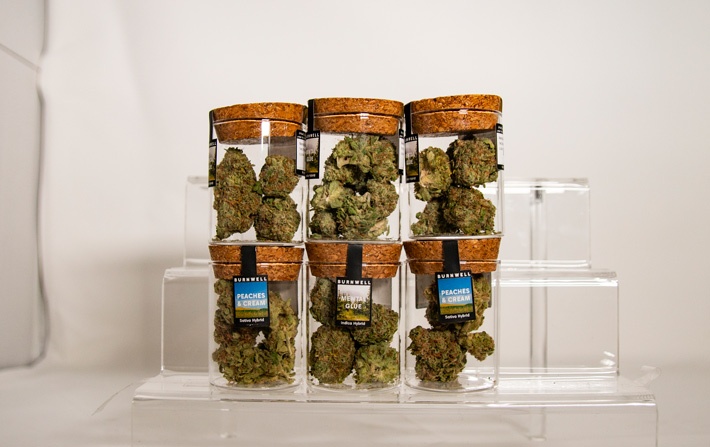 Several Jars of Burnwell Cannabis