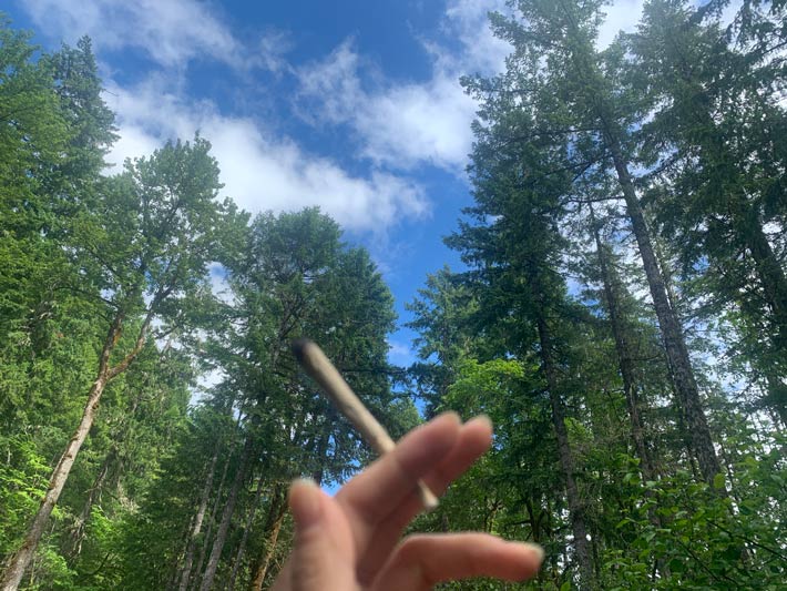 Joint with Trees in the Background