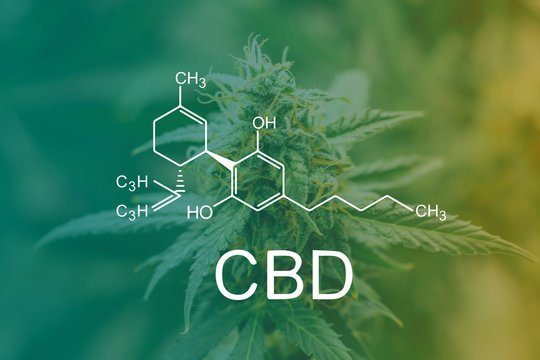CBD Products | What They Are and How They Work