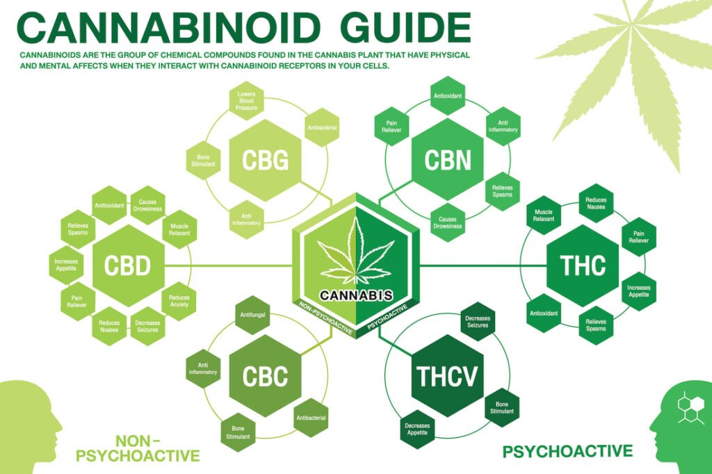 Cannabanoid Guide Chart