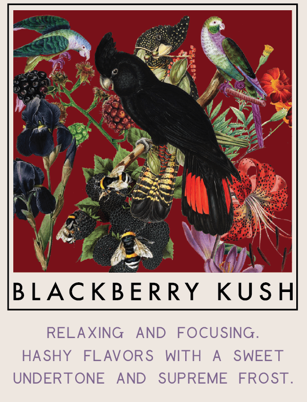 Blackberry Kush Raven Grass Label