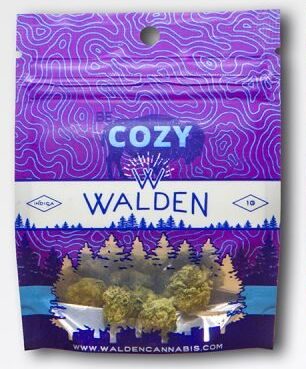 Walden Flower in Purple Bag