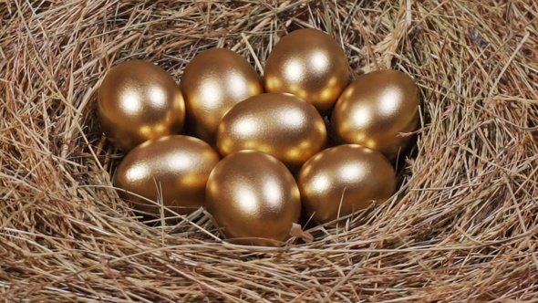 11 Golden eggs in nest. Golden eggs in close-up