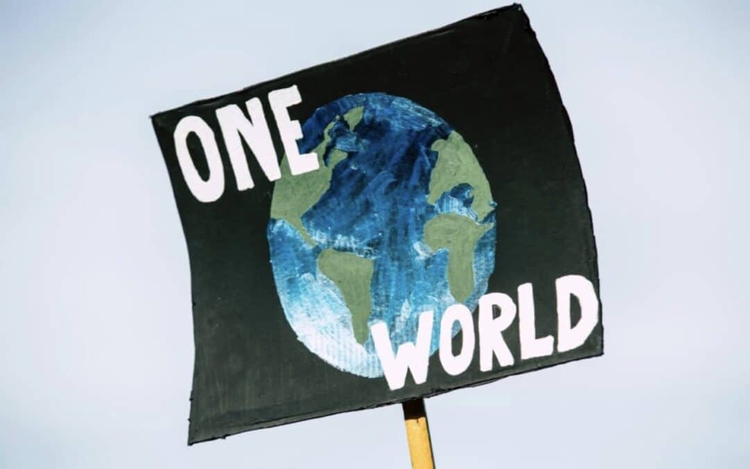 "One World" Earth Day Picket Sign