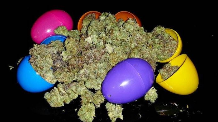 Nug Hunt Eggs and Weed