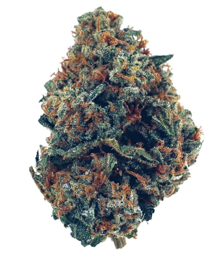 Zkittlez Cannabis Strain Bud Flower