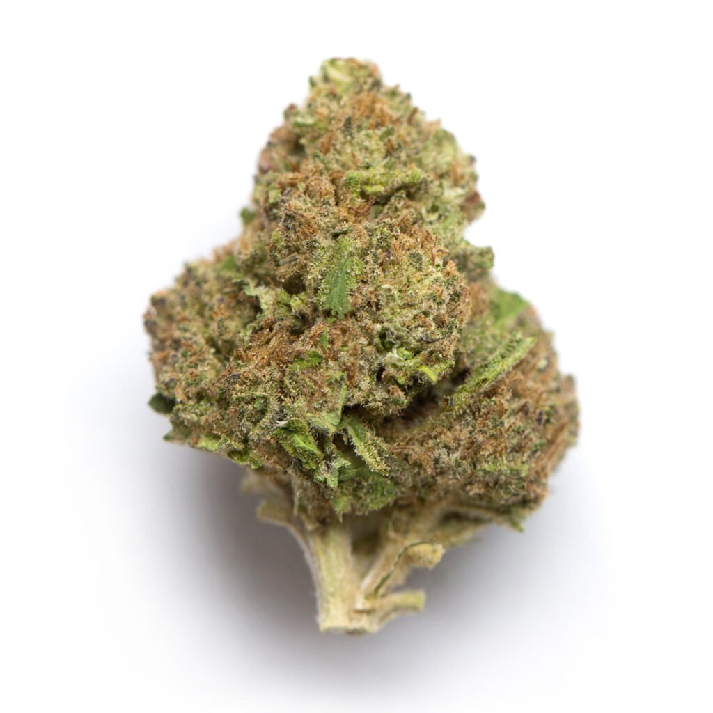 Blue City Diesel Cannabis Weed Nug