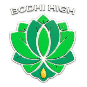 Bodhi High Logo