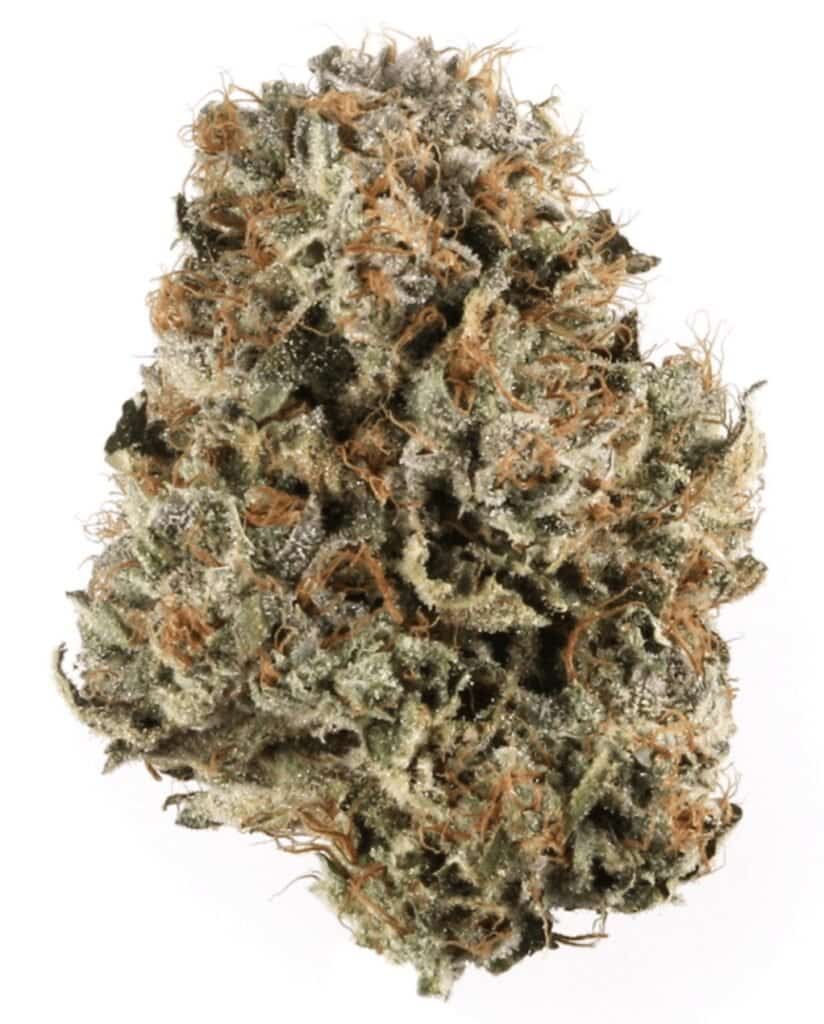 Blue Cheese Cannabis Weed Nug