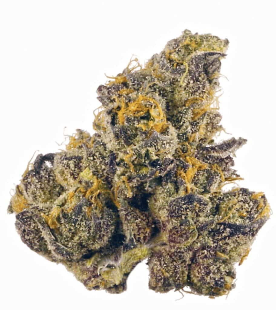 Blackberry Fire Cannabis Weed Strain Nug