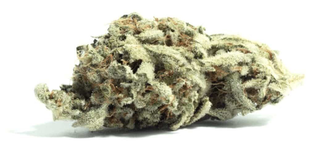 Big Smooth Cannabis Weed Strain Nug