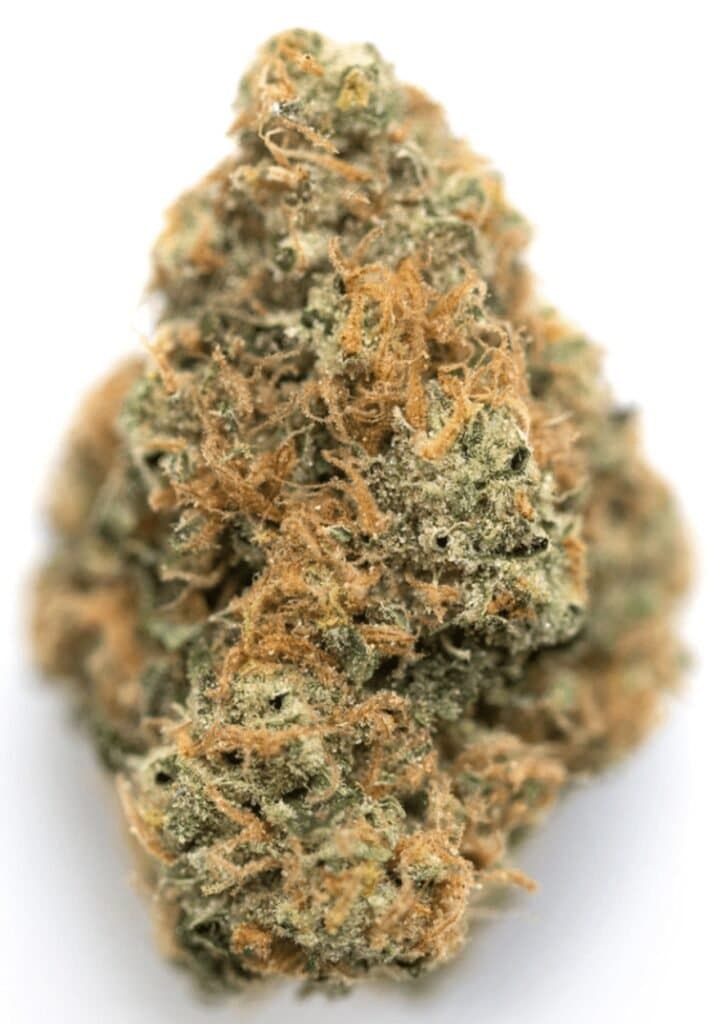 Berry White Cannabis Weed Strain Nug