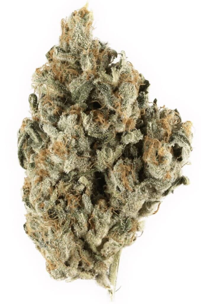 Bazooka Joe Cannabis Weed Strain Nug
