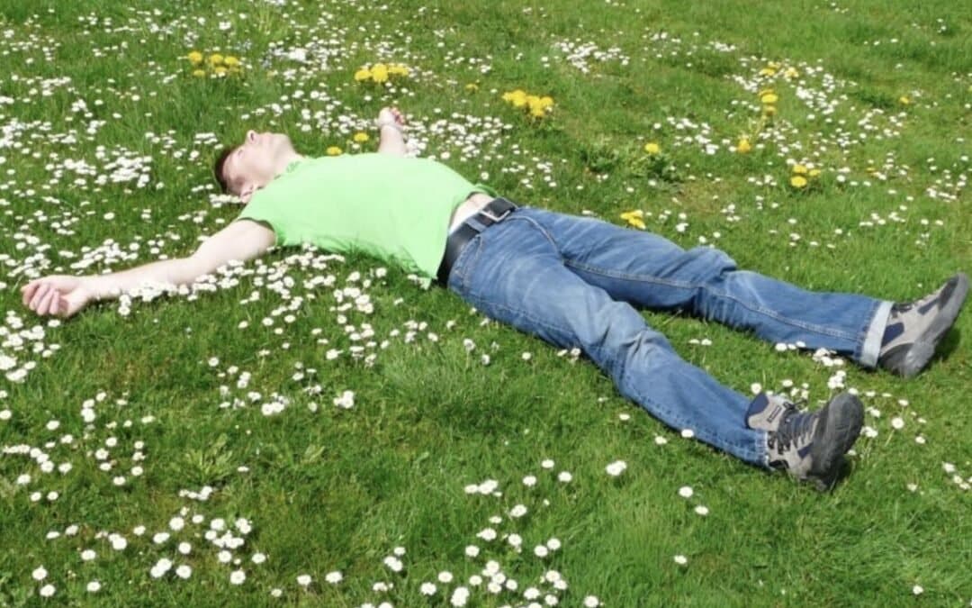 Man Laying in a Field of Flowers