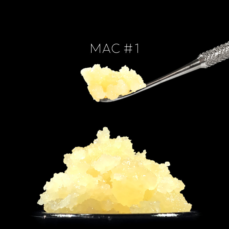 Mac #1 Cannabis Extract from Budder Pros