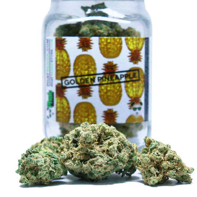 Phat Panda Golden Pineapple Cannabis Flower