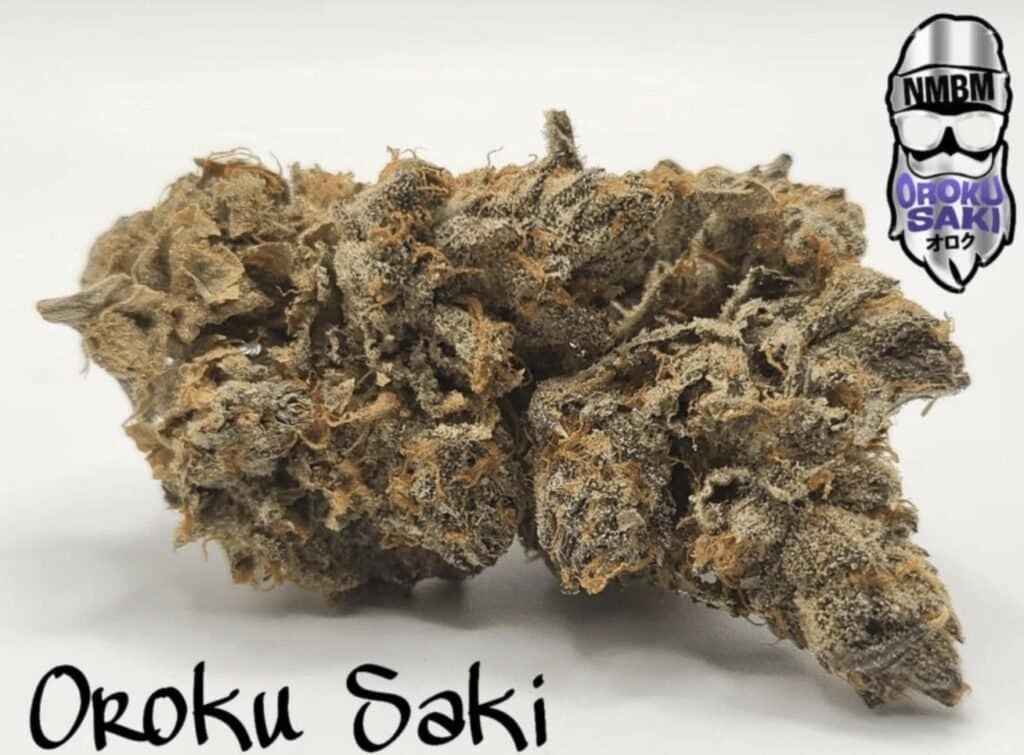 Oroku Saki Cannabis Strain from NMBM