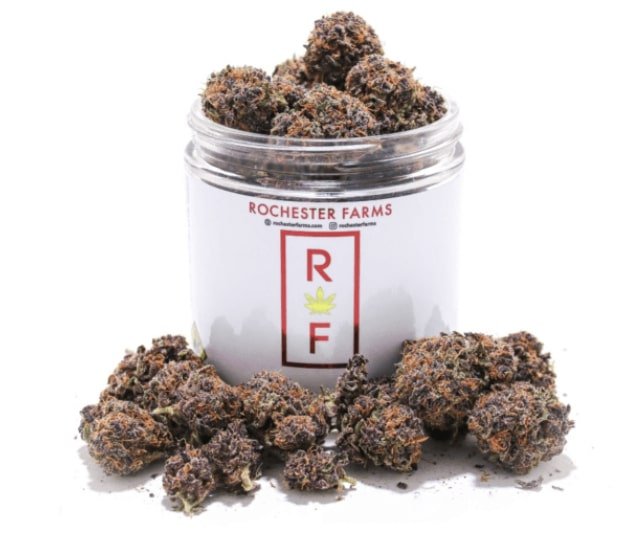 Rohester Farms Point Break Cannabis Strain in a Jar