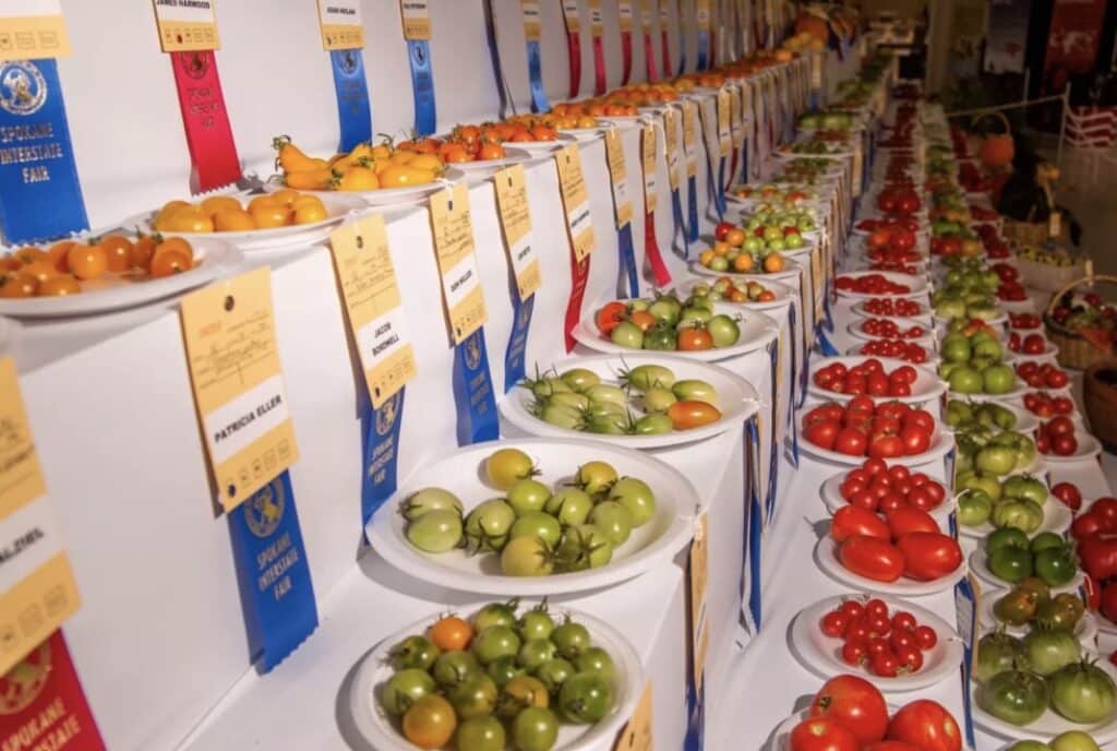 Spokane County Interstate Fair Tomato Exhibit