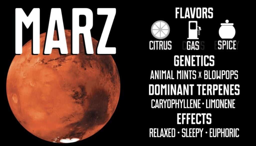 Marz Cannabis Strain from Root Down