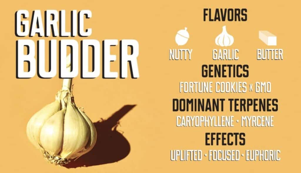 Garlic Budder Cannabis Strain from Root Down