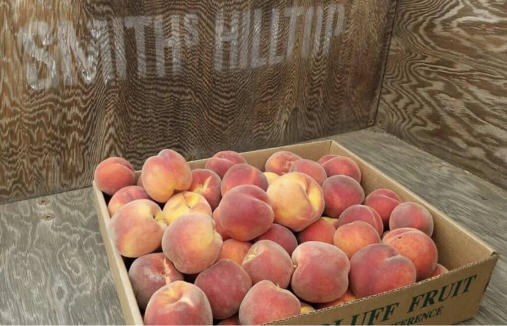 Box of Peaches from Smiths Hilltop Orchard