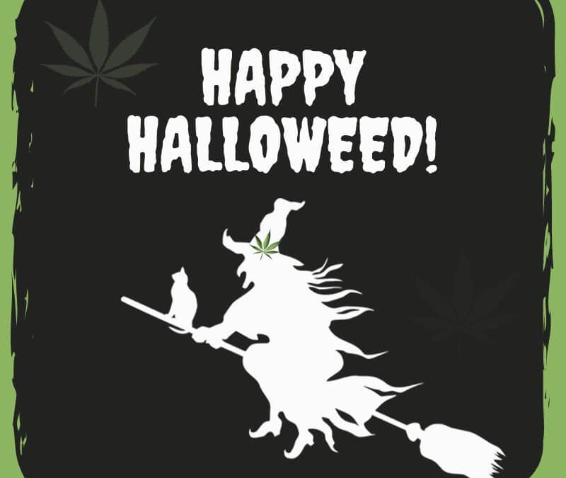Halloween Movies & Their Weed Strain Pairings
