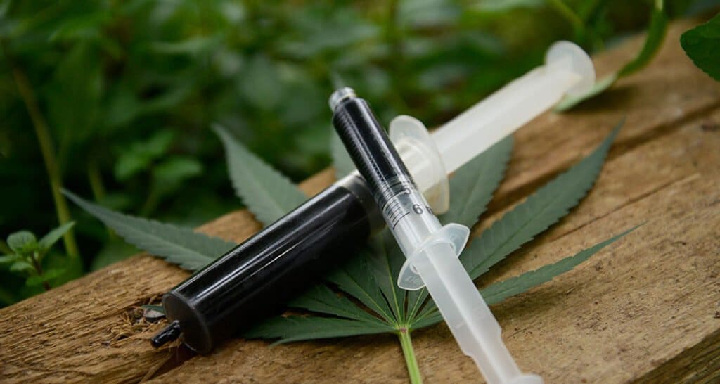 Rick Simpson Oil in Syringes Sitting on Top of a Cannabis Leaf