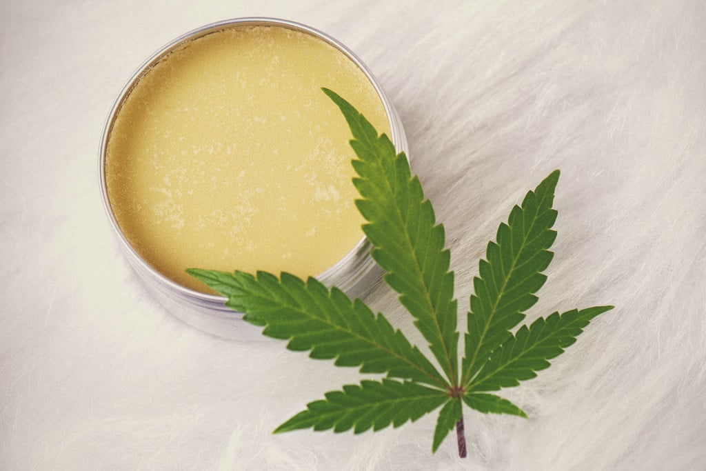 Cannabis Leaf Rested Next to a Tin of Balm