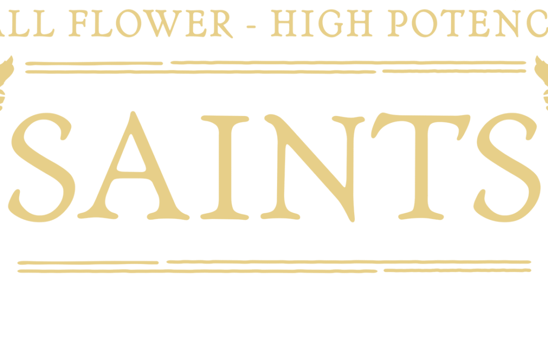 Saints Joints | Who They Are & What They’re About