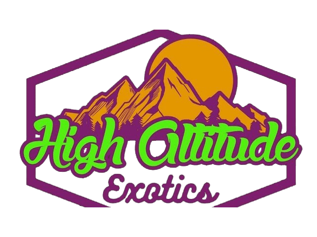 High Altitude Exotics Logo ABQ Albuquerque New Mexico NM