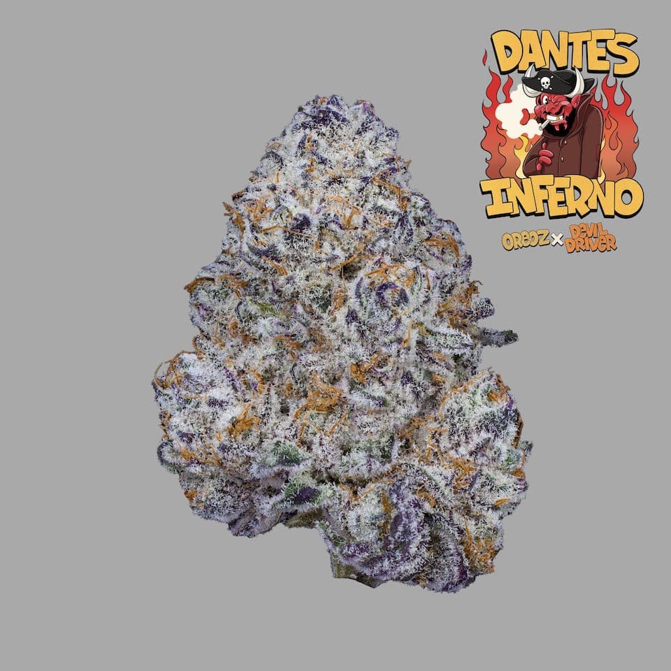 Freddy's Fuego Dante's Inferno Cannabis