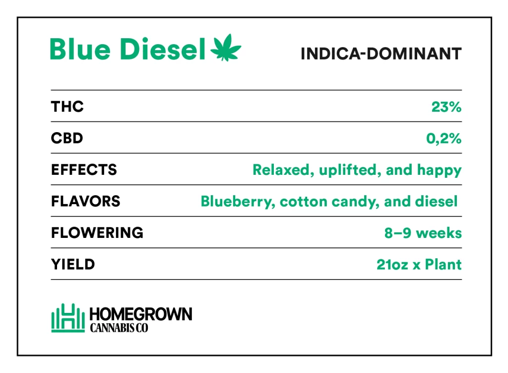 Blue Diesel Cannabis Strain