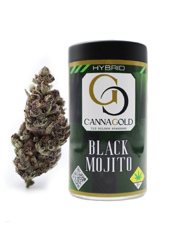 Black Mojito Cannabis Strain from CannaGold USA