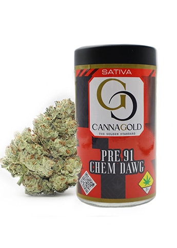 Pre 91 Chemdawg Cannabis Strain from CannaGold USA