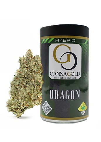 Dragon Cannabis Strain from CannaGold USA