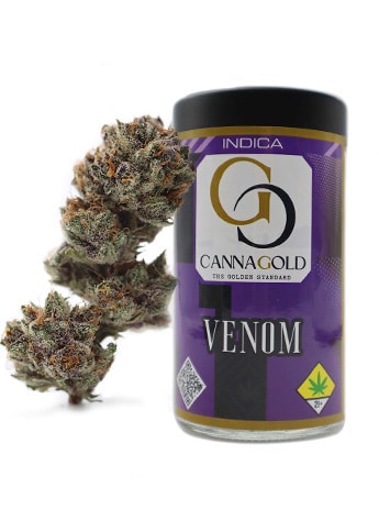 Venom Cannabis Strain from CannaGold USA